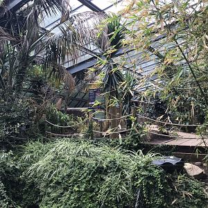 Lorikeet Lookout 230619