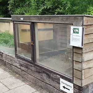 Tortoise - Mongoose enclosure