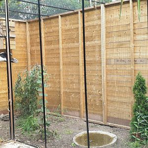 Trumpeter hornbill aviary