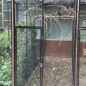 Enclosure unknown Squirrel