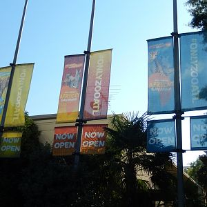 African Savanna Banners