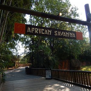 African Savanna Entry Arch