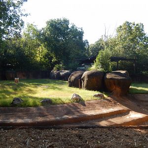 Future White Rhino Exhibit - Coming Late 2019