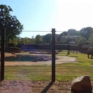African Elephant Habitat