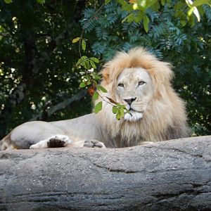 Surveying New Territory