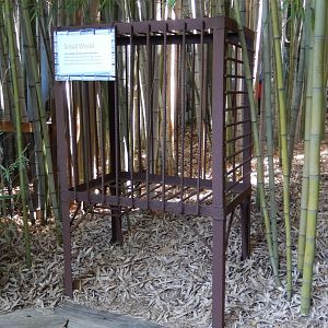 Crush Bear Cage (Ugh!)