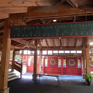 Giant Panda Entry Plaza