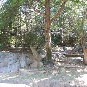 First Giant Panda Habitat