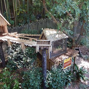 Red Panda Habitat