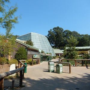 General View of Scaly Slimy Spectacular