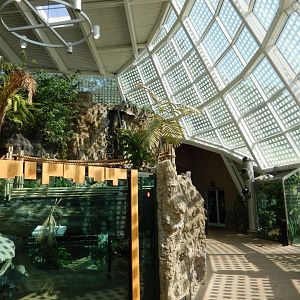 Scaly Slimy Spectacular - General View of Rainforest Section