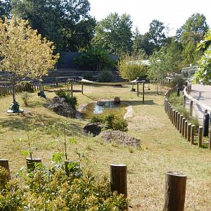 Aldabra Tortoise Habitat