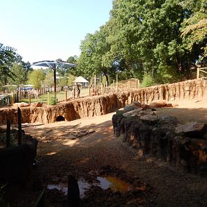 Warthog Habitat (Foreground), Savanna Habitat (Background)