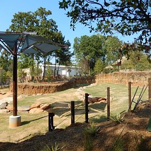 African Elephant Habitat (Right Half)