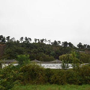 View on Mountain ungulate cliff