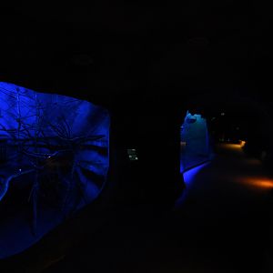 Indonesian house - tunnel