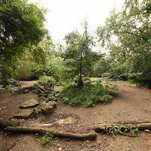 Chacoan peccary enclosure