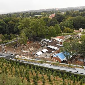 New parrot house and Australian development