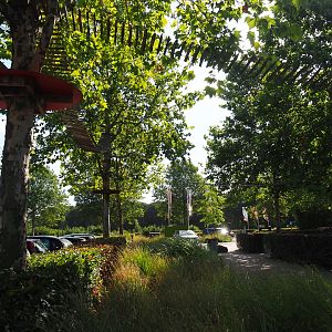 Red panda climbing structures in the trees near the parking lot, 2019-06-01