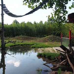 Red panda and Asian small-clawed otter exhibit, 2019-06-01