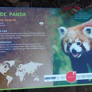 Signage example - Red panda sign, 2019-06-01
