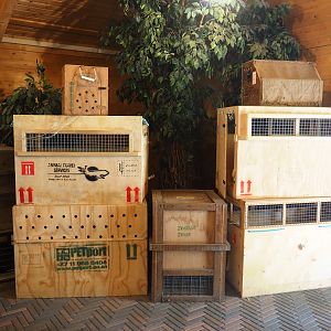 Animal transport crates, 2019-06-01