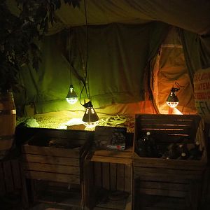 Hermann's tortoise pen in the ranger camp-themed terrarium area in the main building, 2019-06-01