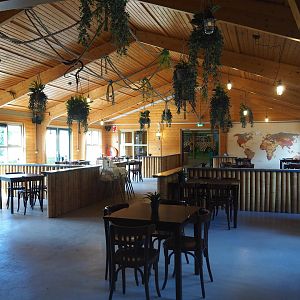 Eating area in the main building, 2019-06-01