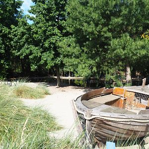 Boulders Beach - African black-footed penguin exhibit, 2019-06