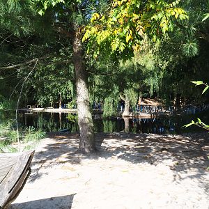 Boulders Beach - African black-footed penguin exhibit, 2019-06