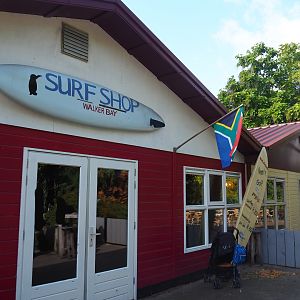 South African beachside theming on the side of the main building facing the penguin exhibit, 2019-06