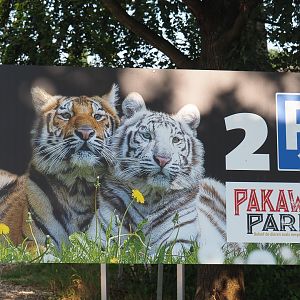 Parking lot sign, 2019-06-01