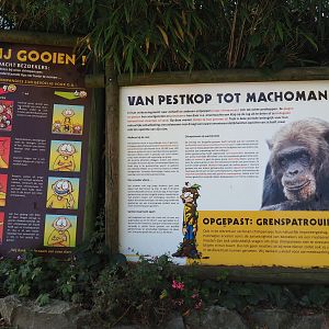 Chimpanzee education and warning signs, 2019-06-01