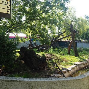 Common squirrel monkey and Asian small-clawed otter exhibit, 2019-06-01