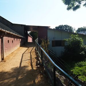 Walkway towards Chimpanzee indoor housing and Bird Museum, 2019-06-01