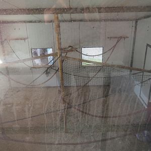 Common squirrel monkey indoor housing - With very dirty windows, 2019-06-01