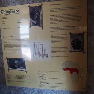 Education sign chimpanzee, 2019-06-01
