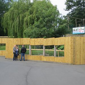 Caribbean flamingo enclosure 230619