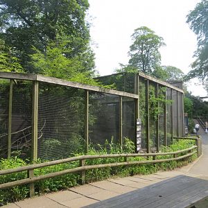 Aviaries 230619