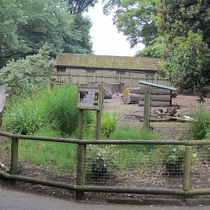 Southern white-lipped peccary enclosure 230619