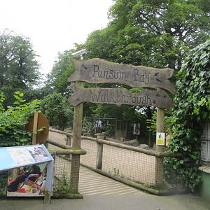 Penguin Bay Walkthrough entrance 230619