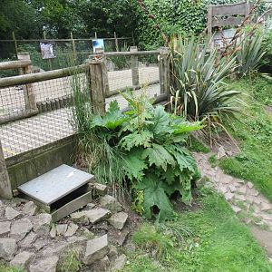 Penguin Bay Walkthrough 230619