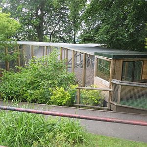 View towards Yellow-breasted capuchin enclosure 230619