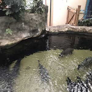 Worlds Apart - aquarium exhibit 050819