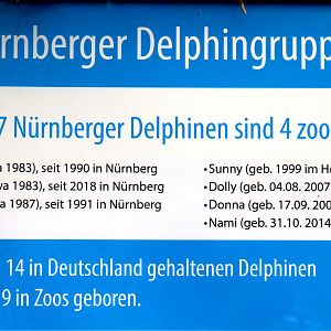 Dolphin group information sign; Nuremberg; 7th September 2019.