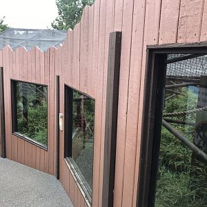 Heart of the Amazon - Black saki exhibit 050819