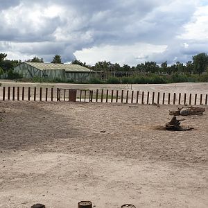 Part of the Savannah