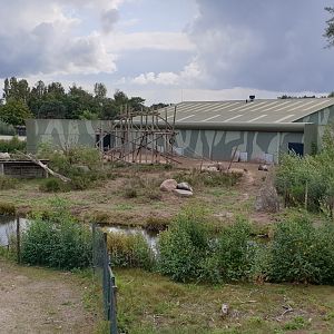 Former Chimp Island - now Hamadryas baboon Island