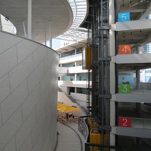 Museum Atrium - Aquarium