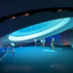 Aquarium - Gulf Stream Exhibit - The Deep Level - Oculus